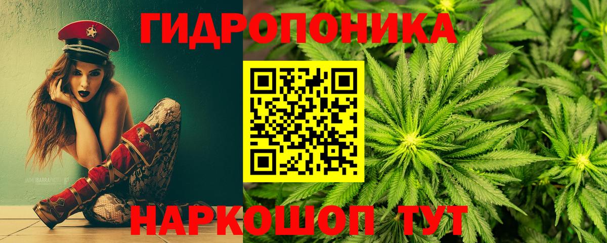 Шишки марихуана план Лянтор